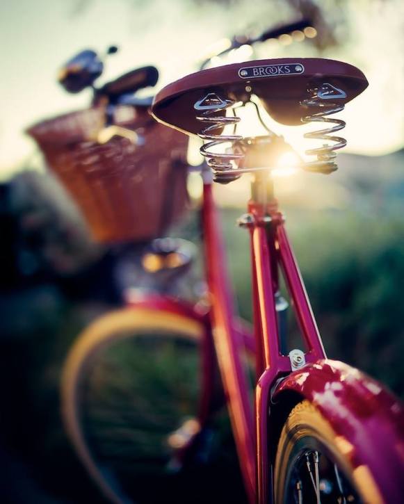 10322436_330229683795564_4164507560923484718_n